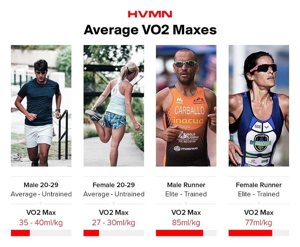 بهترین VO2Max